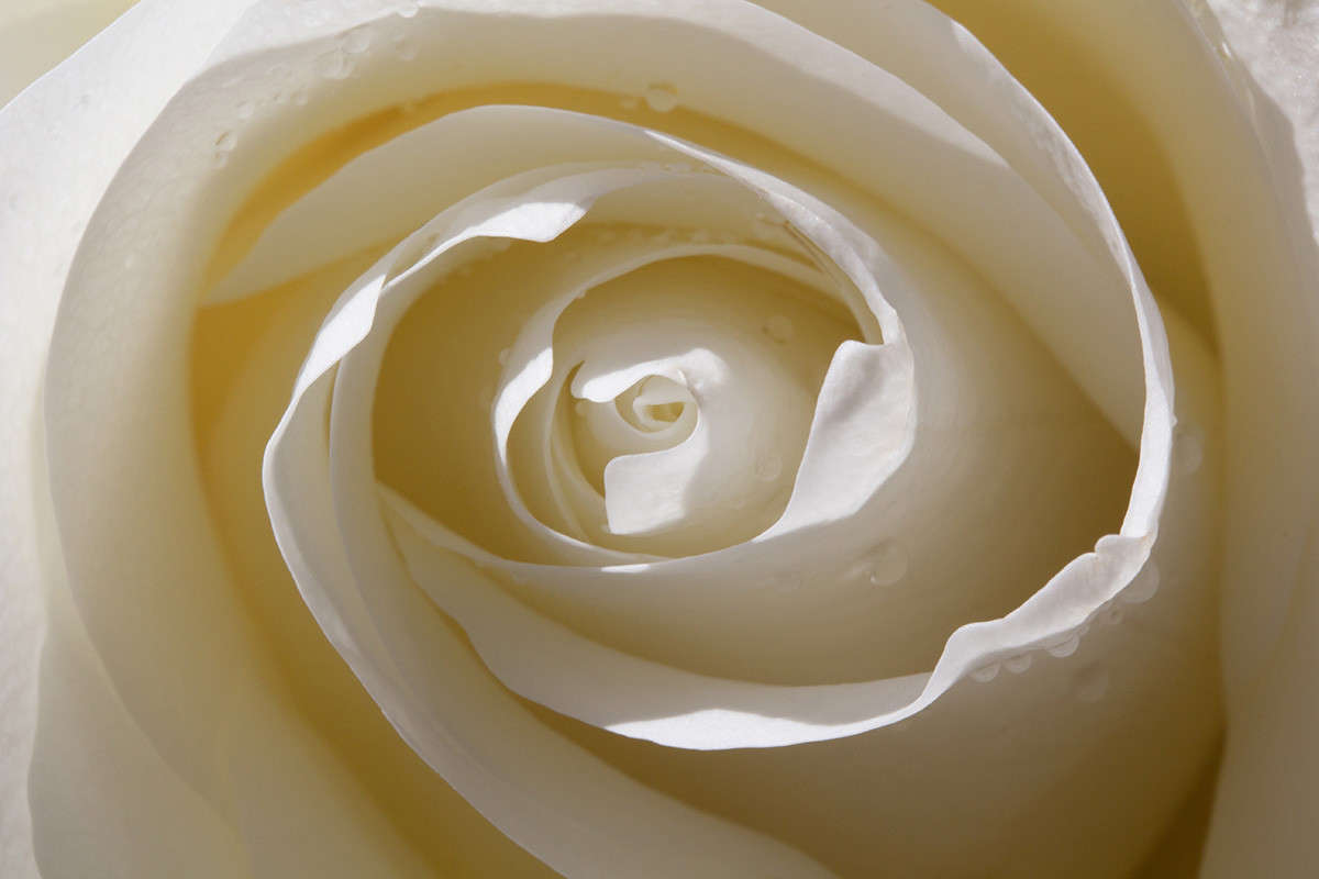 ... ����� ������� ������� �� PhotoGeek.ru #����� #�����