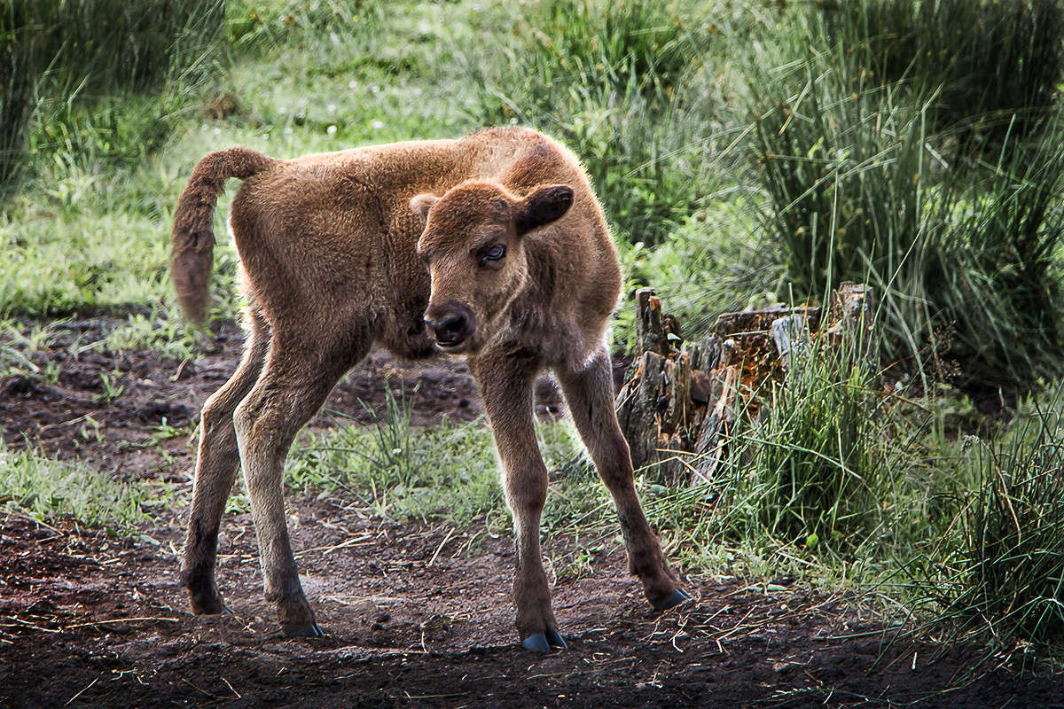 �������� ����� ������� ������� �� PhotoGeek.ru #�������� ���