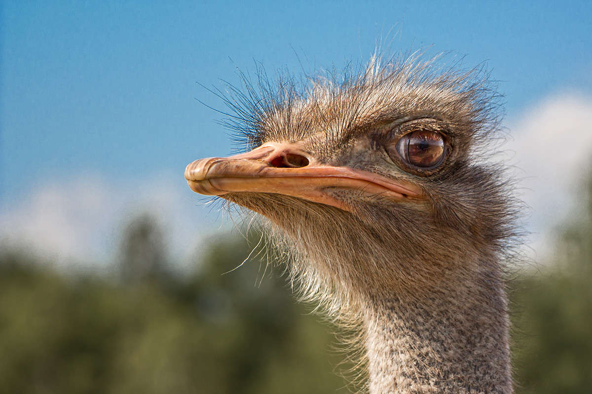 ... ����� ������� ������� �� PhotoGeek.ru #�������� ���