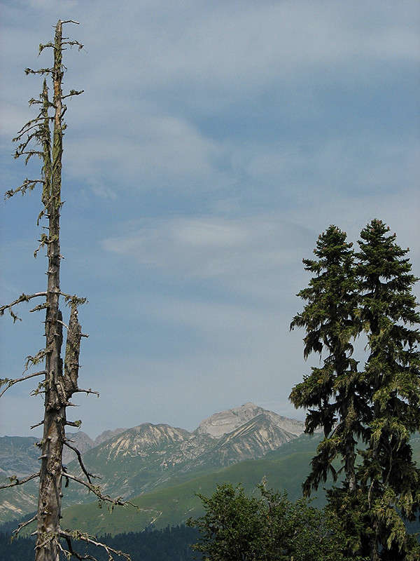 ... ����� ������� ������� �� PhotoGeek.ru #������ ��� �������