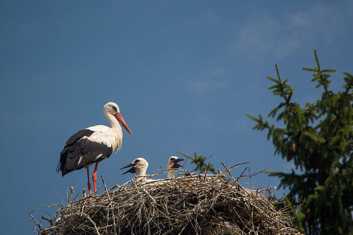 ������� ����� ������� ������� �� PhotoGeek.ru #�������� ��� #������ ��� ������� #����� ��� ��� ��������� #�����