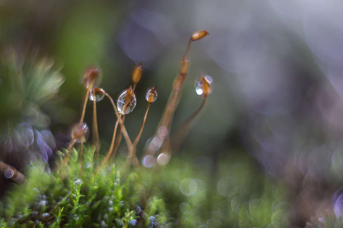 ... ����� ������� ������� �� PhotoGeek.ru #����� #����� ��������������