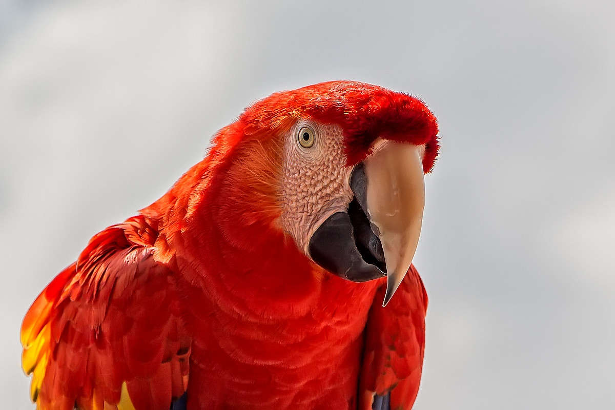 ... ����� ������� ������� �� PhotoGeek.ru #�������� ��� #�����