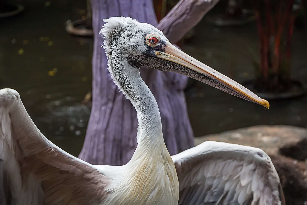 ... ����� ������� ������� �� PhotoGeek.ru #�������� ��� #�����