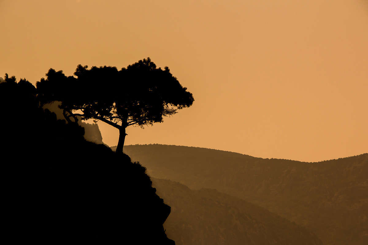 ... ����� ������� ������� �� PhotoGeek.ru #������ ��� �������