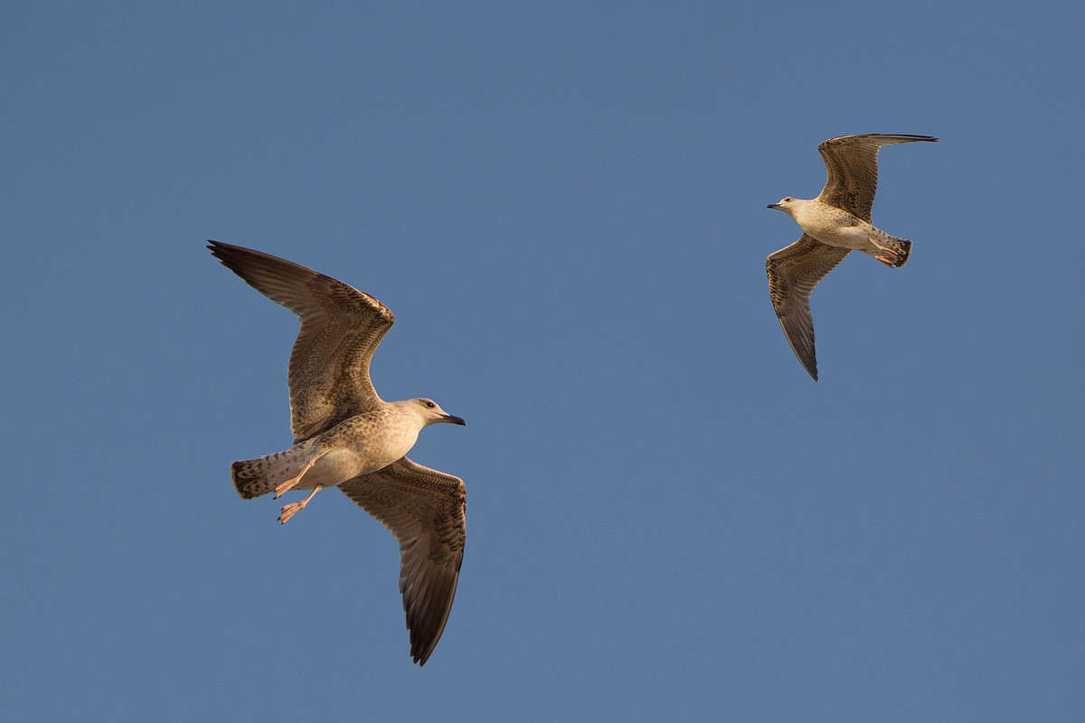 ... ����� ������� ������� �� PhotoGeek.ru #�������� ��� #�����