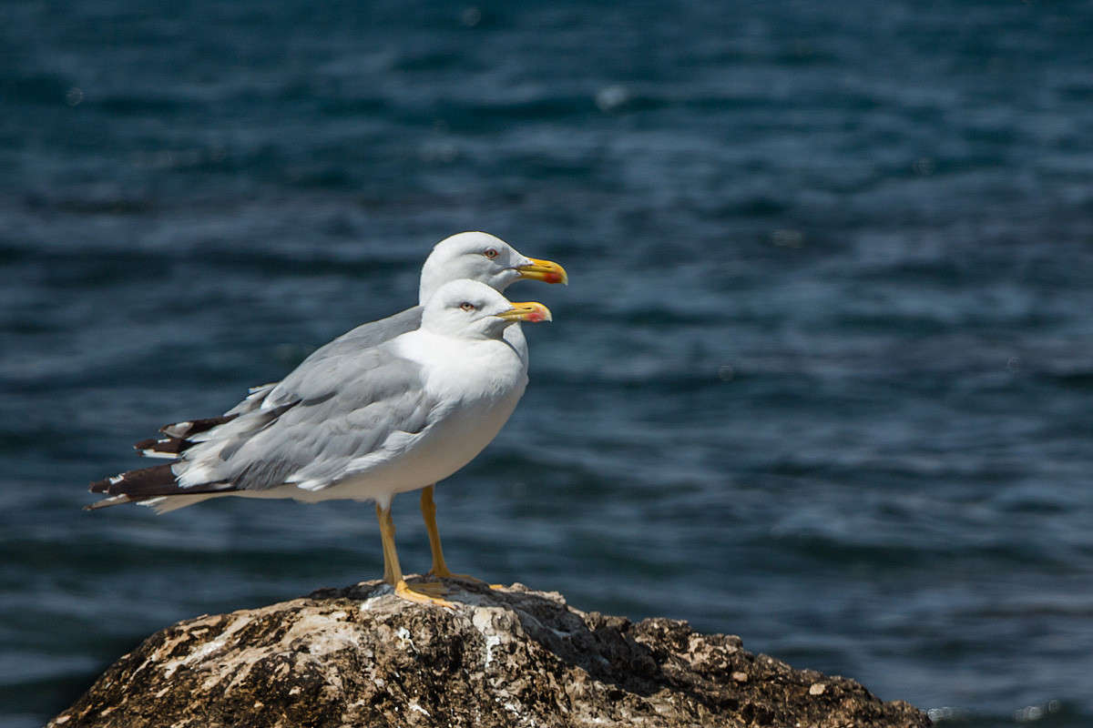 � ������ ����� ������� ������� �� PhotoGeek.ru #�������� ��� #����� ��� ��� ��������� #�����