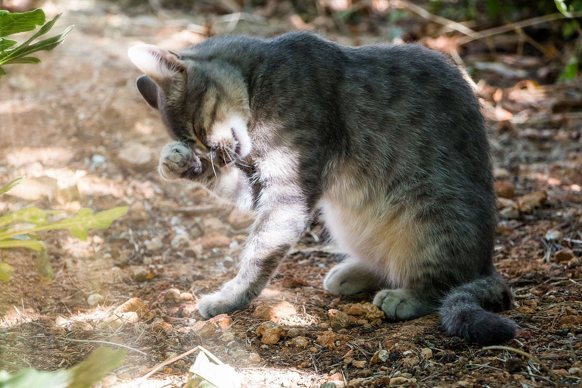 ��� ��... ������ � ���� ������... ����� ������� ������� �� PhotoGeek.ru #�������� ��� #�����