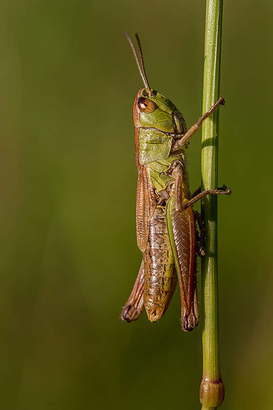 ������ ����� ������� ������� �� PhotoGeek.ru #����� #���������