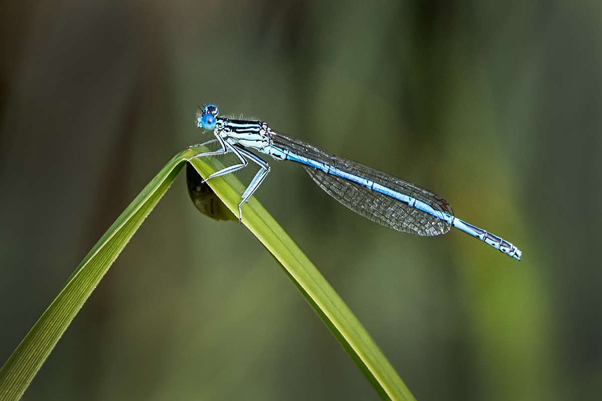 ... ����� ������� ������� �� PhotoGeek.ru #����� #���������