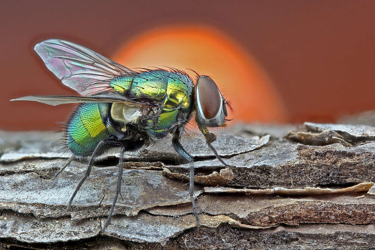 ���� �������������� :) ����� ������� ������� �� PhotoGeek.ru #����� #���������