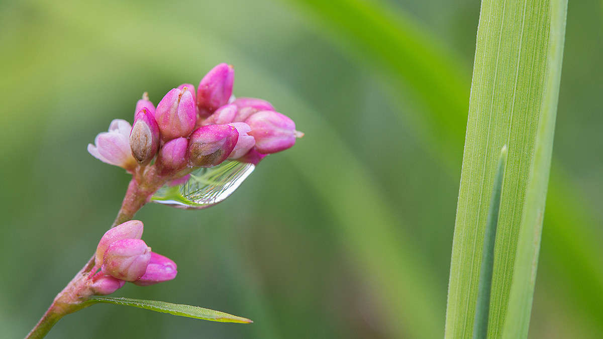 ... ����� ������� ������� �� PhotoGeek.ru #����� #����� ��������������