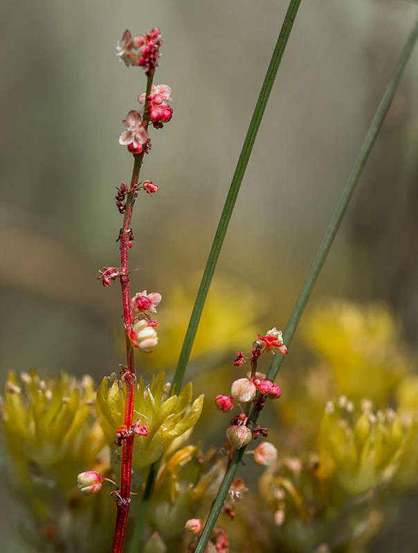 ... ����� ������� ������� �� PhotoGeek.ru #����� #����� ��������������