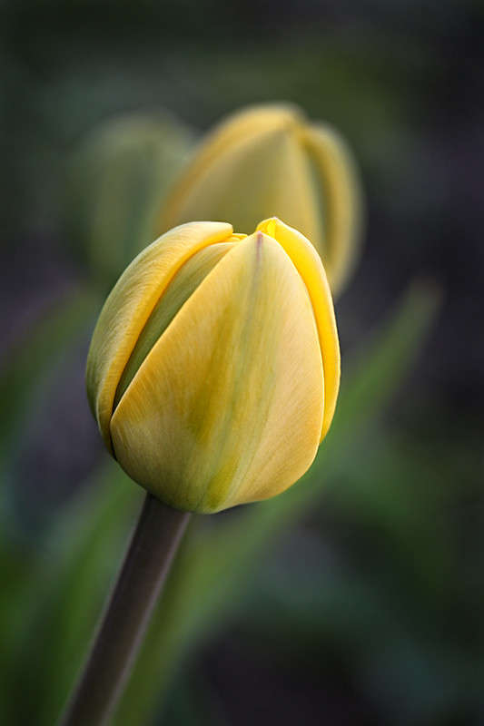 ... ����� ������� ������� �� PhotoGeek.ru #�����