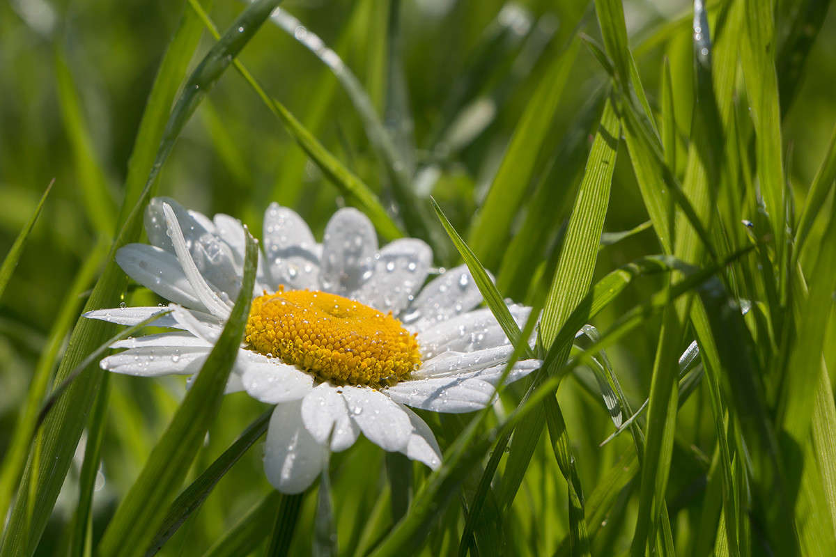 ... ����� ������� ������� �� PhotoGeek.ru #�����