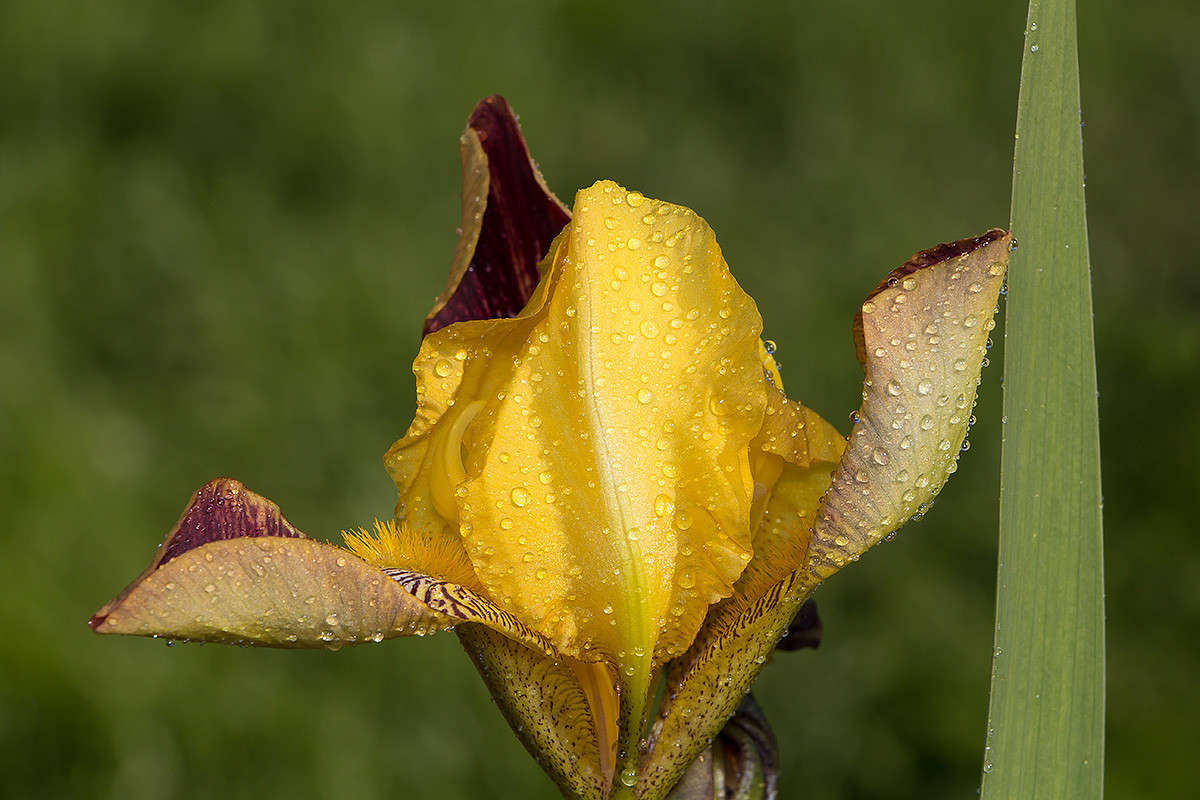 ���� ����� ������� ������� �� PhotoGeek.ru #�����