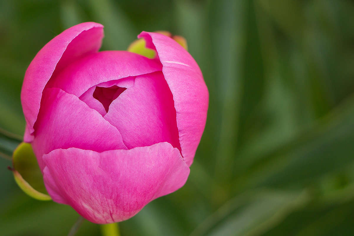 ���� ����� ������� ������� �� PhotoGeek.ru #�����