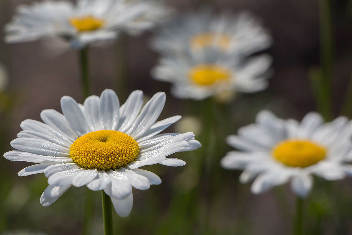 ... ����� ������� ������� �� PhotoGeek.ru #����� #����� �������������� #�����