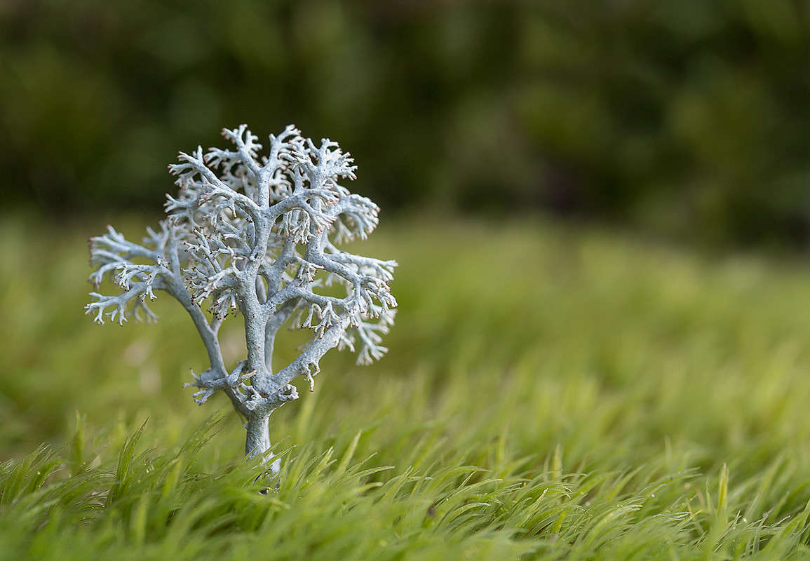 ����������� ����� ������� ������� �� PhotoGeek.ru #����� #����� ��������������