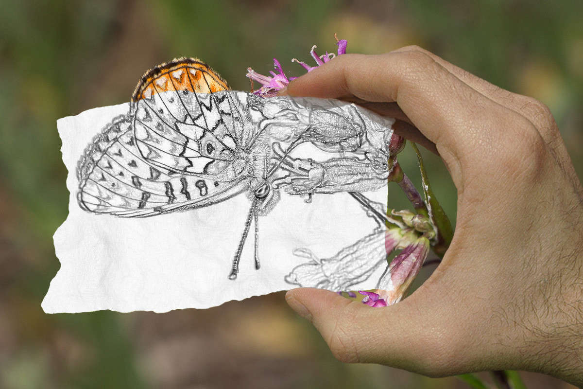 � ����� ���� ����� ����� ������� ������� �� PhotoGeek.ru #������