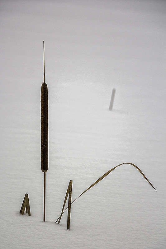 ... ����� ������� ������� �� PhotoGeek.ru #������ ��� ������� #����� ��������������