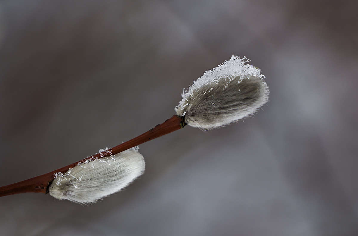 ... ����� ������� ������� �� PhotoGeek.ru #����� #����� ��������������