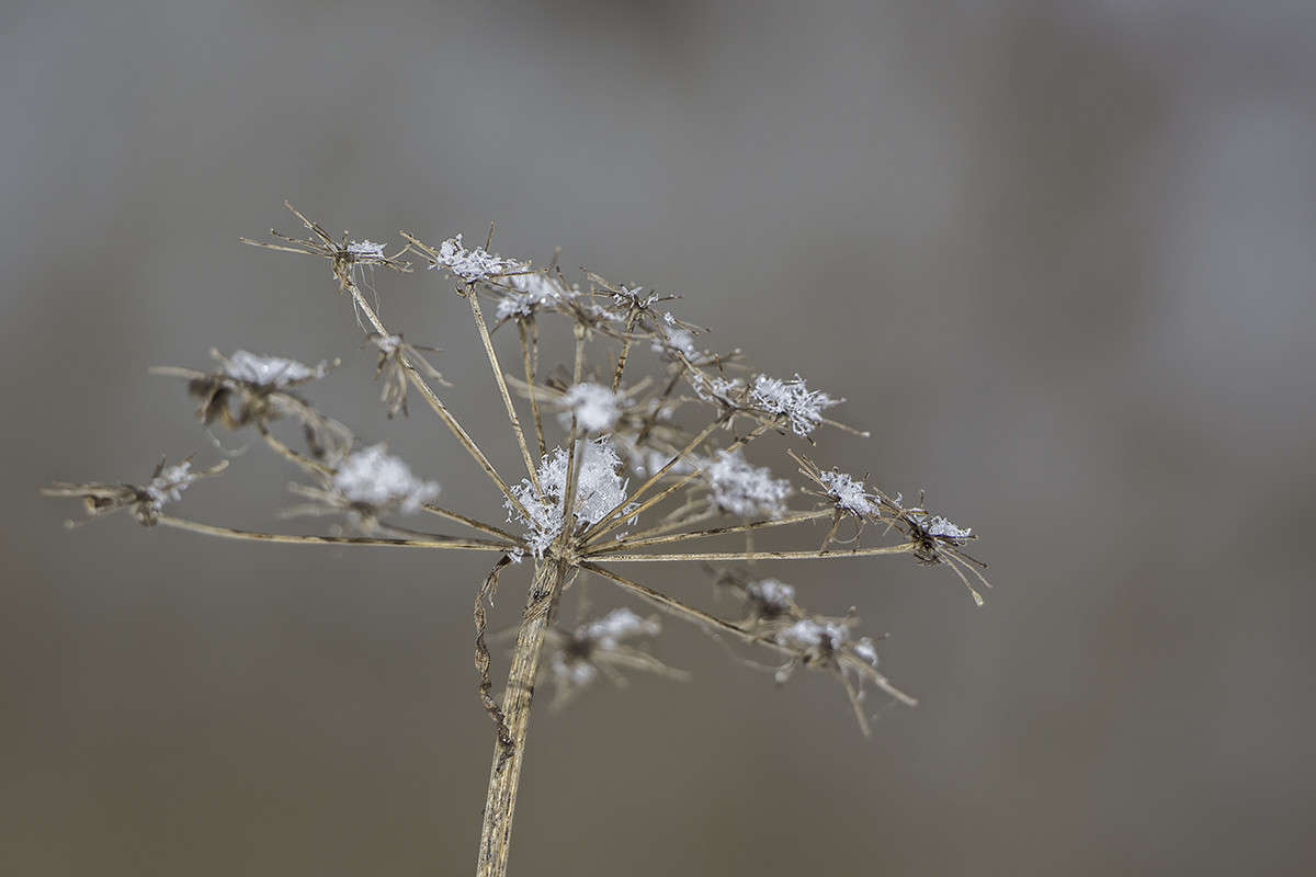 ... ����� ������� ������� �� PhotoGeek.ru #������ ��� ������� #����� ��������������