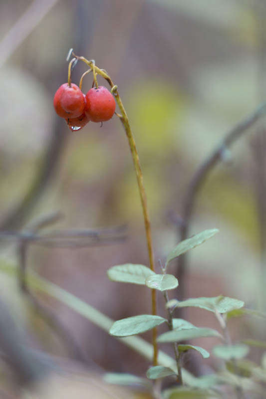 ... ����� ������� ������� �� PhotoGeek.ru #����� #����� ��������������