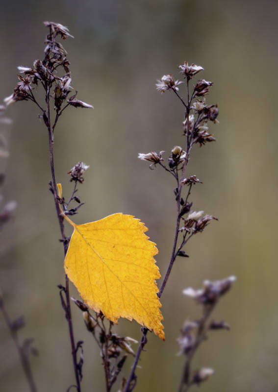 ... ����� ������� ������� �� PhotoGeek.ru #����� #����� ��������������