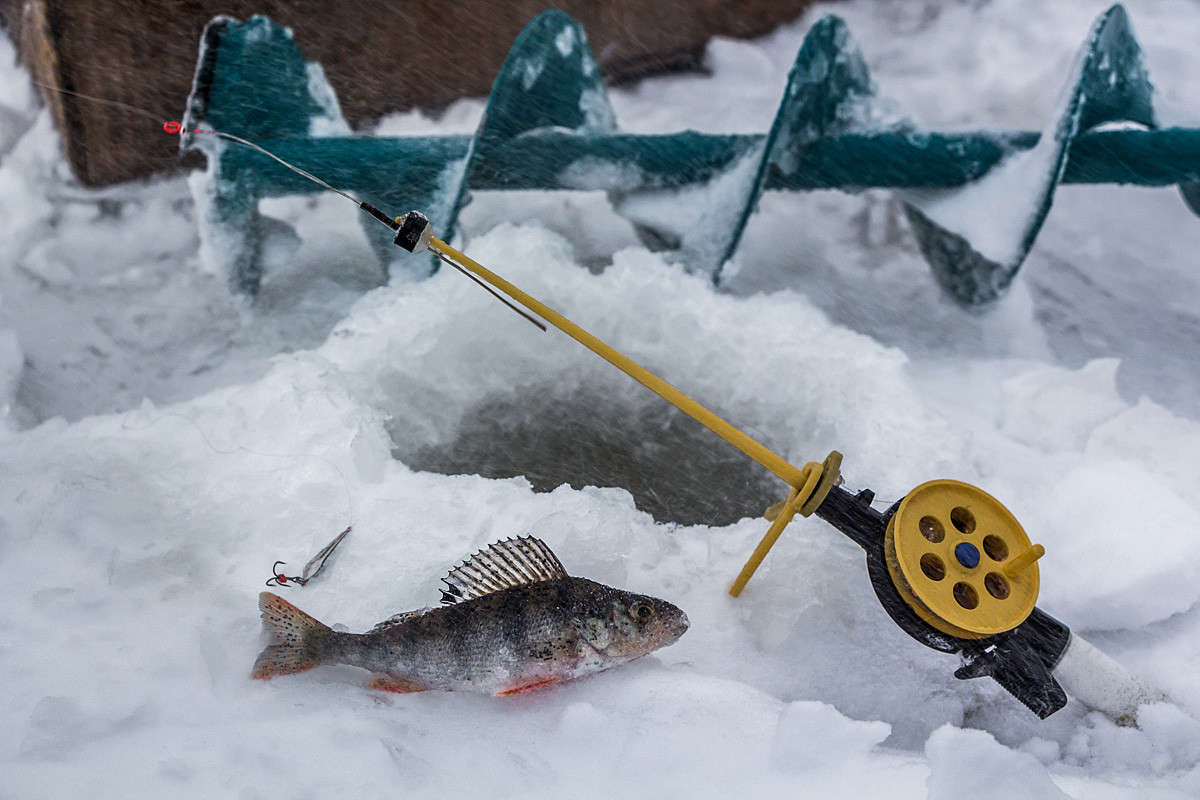 ������� �������! :) ����� ������� ������� �� PhotoGeek.ru #��������