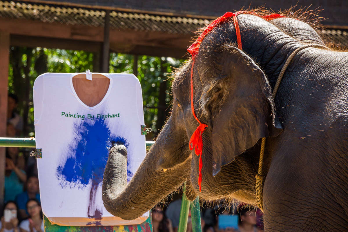 �������� ���������� ����� ������� ������� �� PhotoGeek.ru #�������� ���