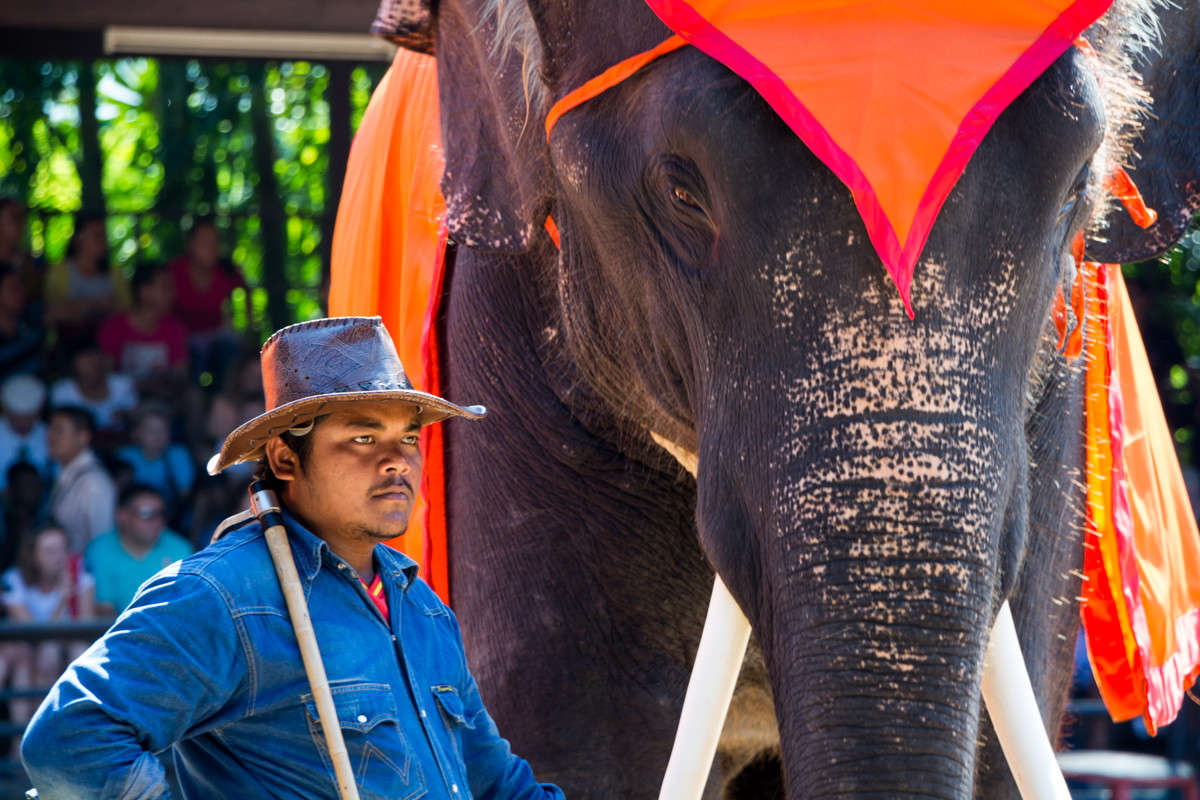 ���������� ������ ����� ������� ������� �� PhotoGeek.ru #��������