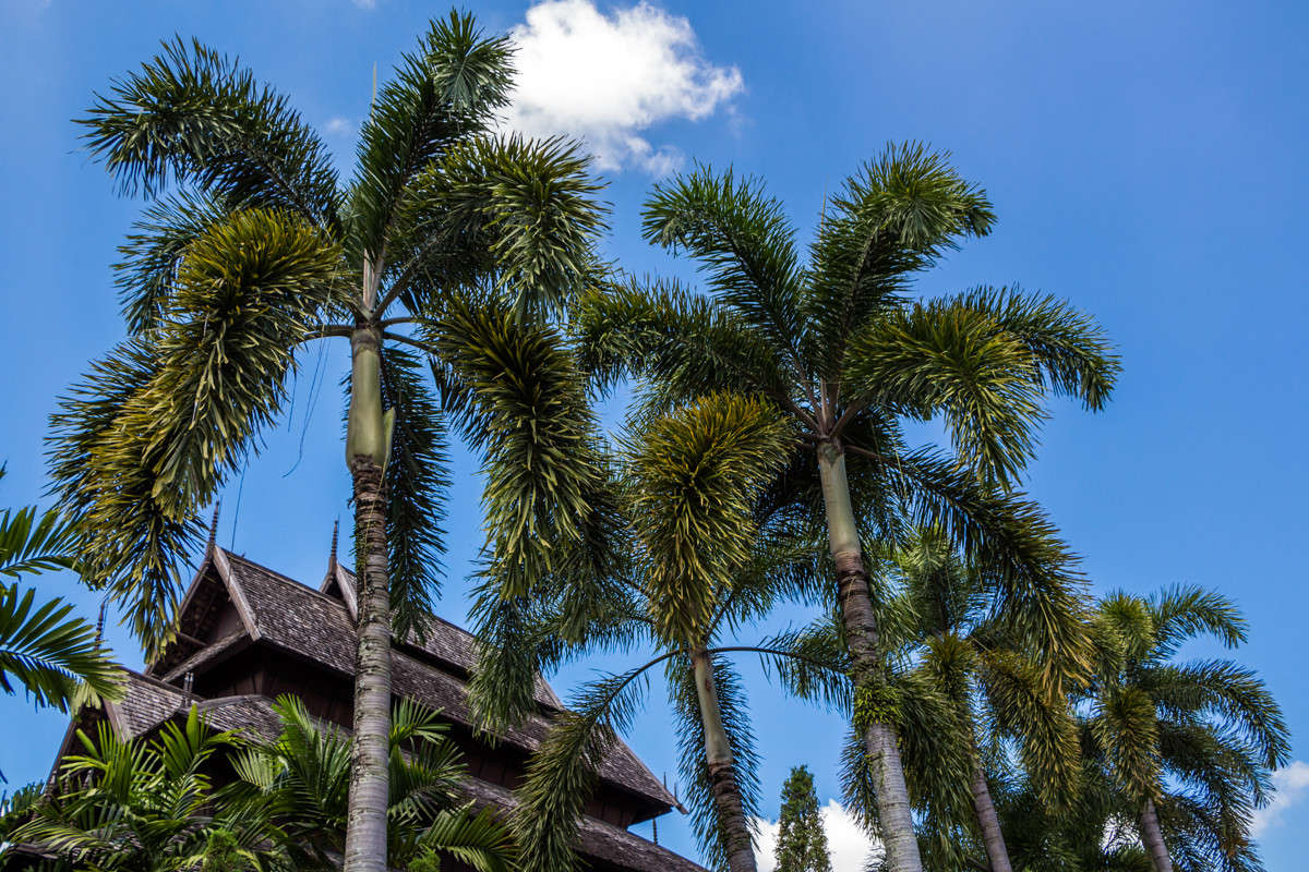 ������� � �������� ����� ������� ������� �� PhotoGeek.ru #������ ��� �������