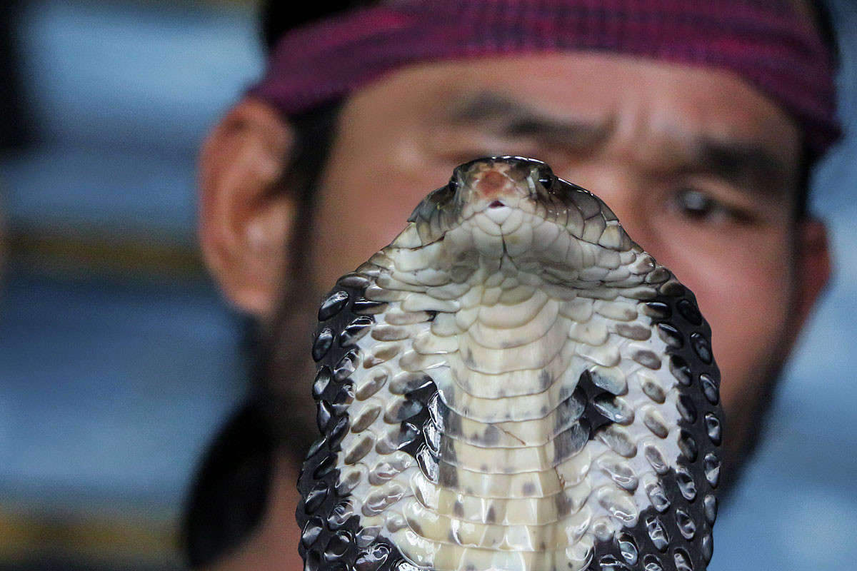 ������� ������ ����� ������� ������� �� PhotoGeek.ru #��������