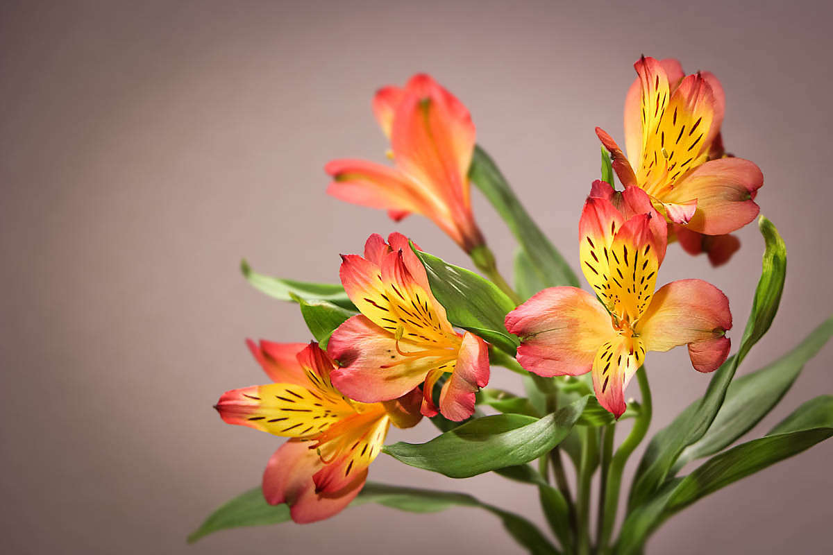 ... ����� ������� ������� �� PhotoGeek.ru #�����