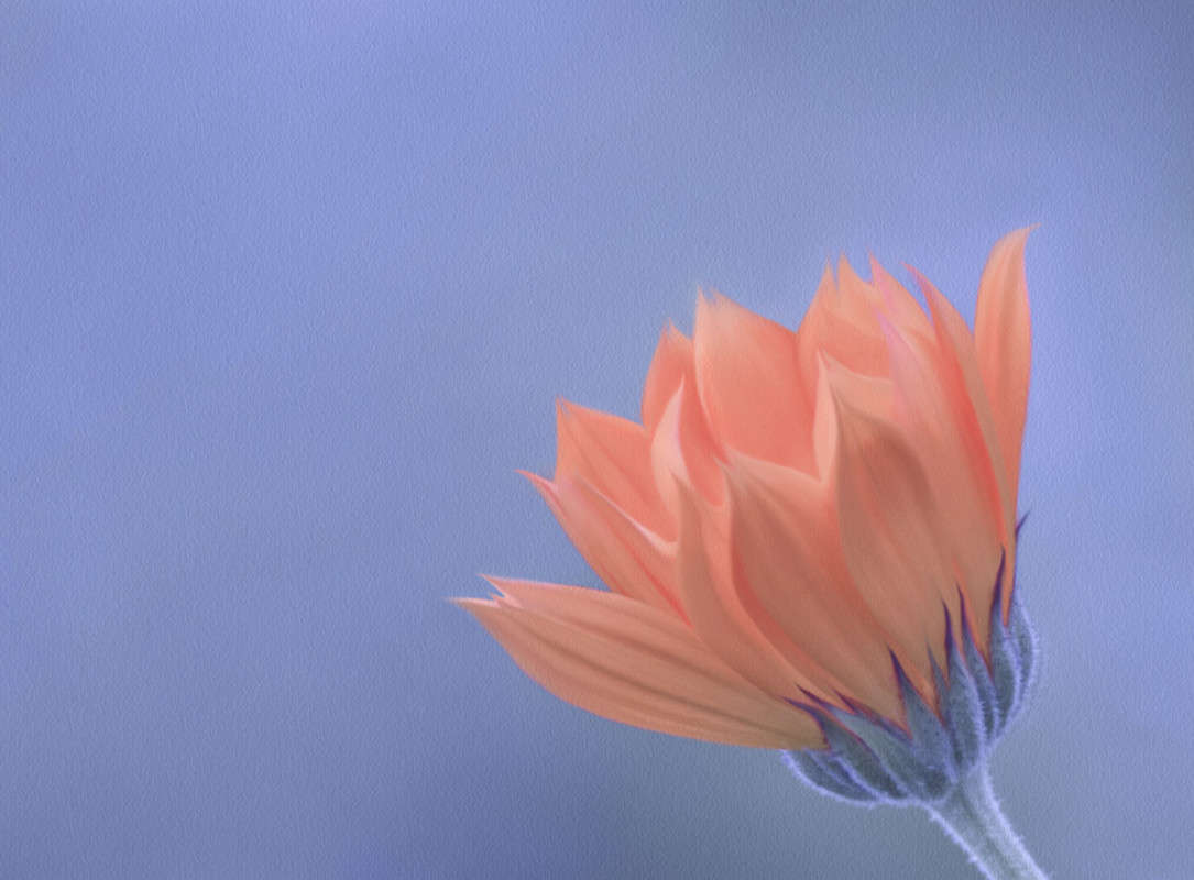 ... ����� ������� ������� �� PhotoGeek.ru #����� #���-�����������