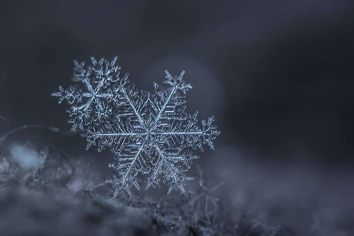 �������� 3 ����� ������� ������� �� PhotoGeek.ru #�����