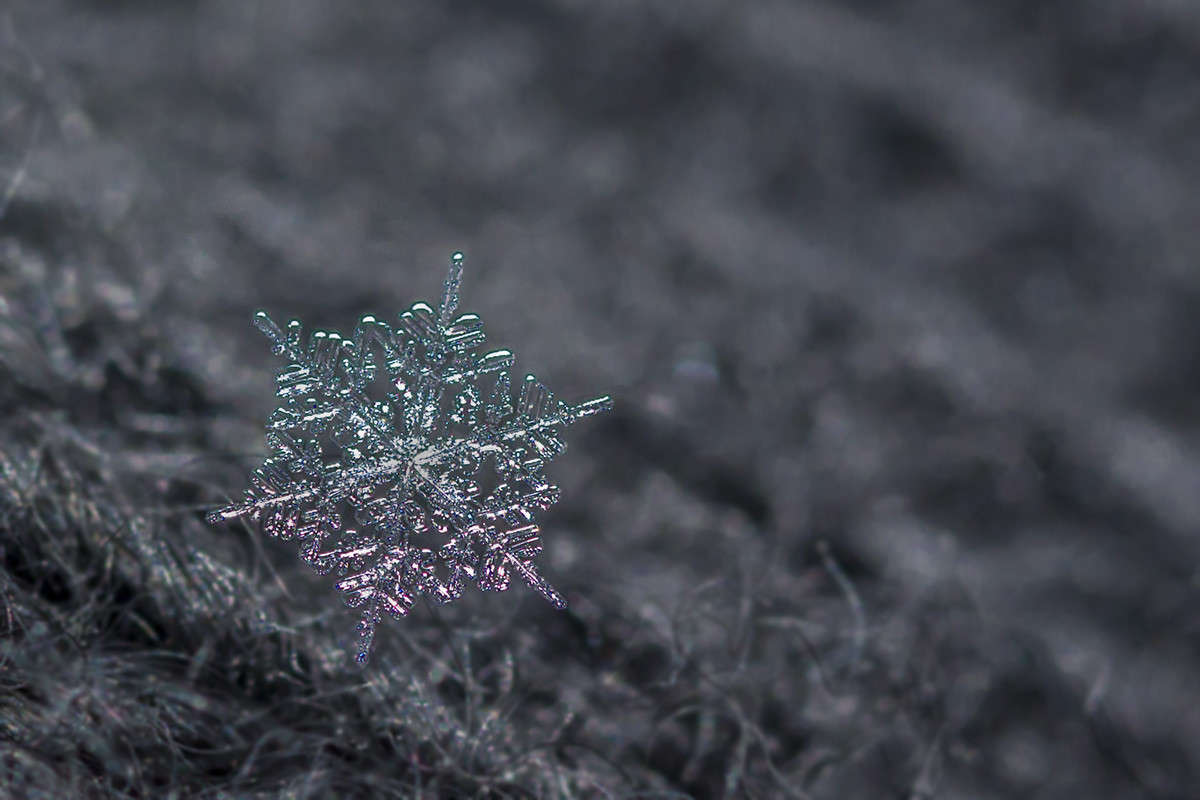 �������� 1 ����� ������� ������� �� PhotoGeek.ru #�����