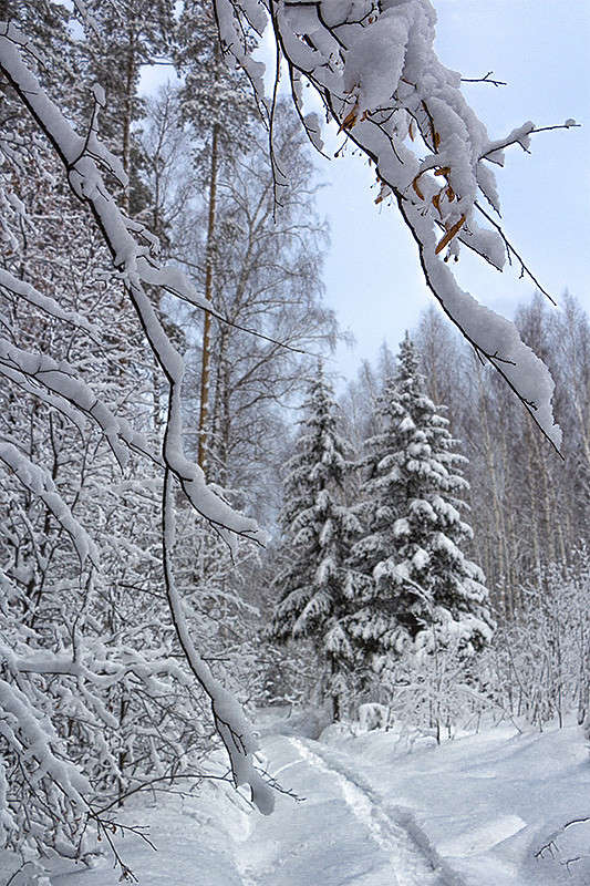 ������ ������... ����� ������� ������� �� PhotoGeek.ru #������ ��� �������