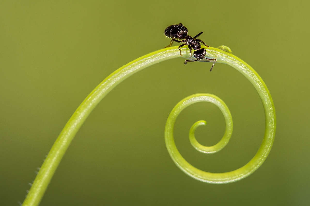 �� ������� ����� ������� ������� �� PhotoGeek.ru #����� #���������