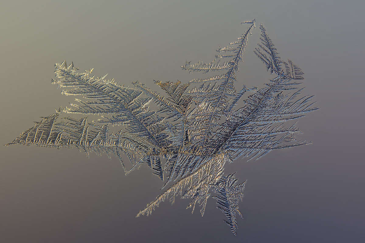 �������� ����� 1 ����� ������� ������� �� PhotoGeek.ru #�����