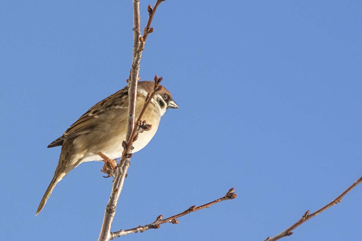 ... ����� ������� ������� �� PhotoGeek.ru #�������� ��� #����� ��� ��� ���������