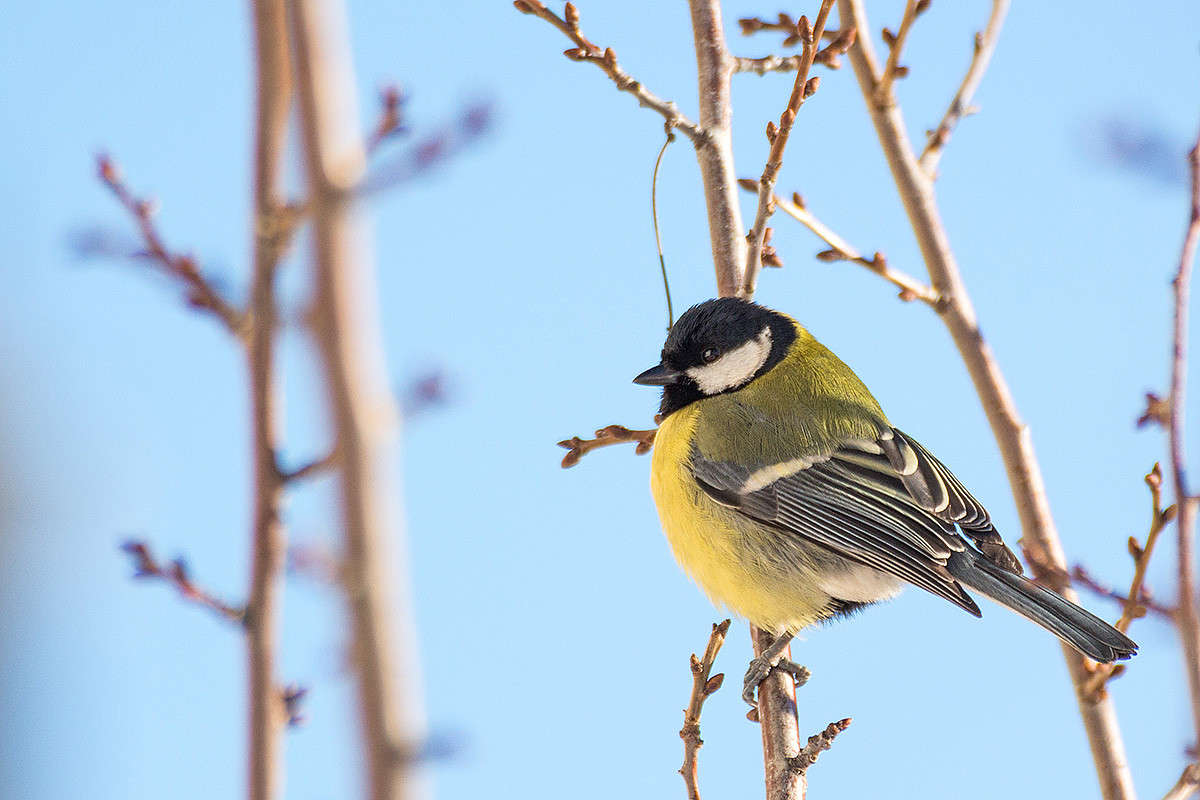 ... ����� ������� ������� �� PhotoGeek.ru #�������� ��� #����� ��� ��� ���������