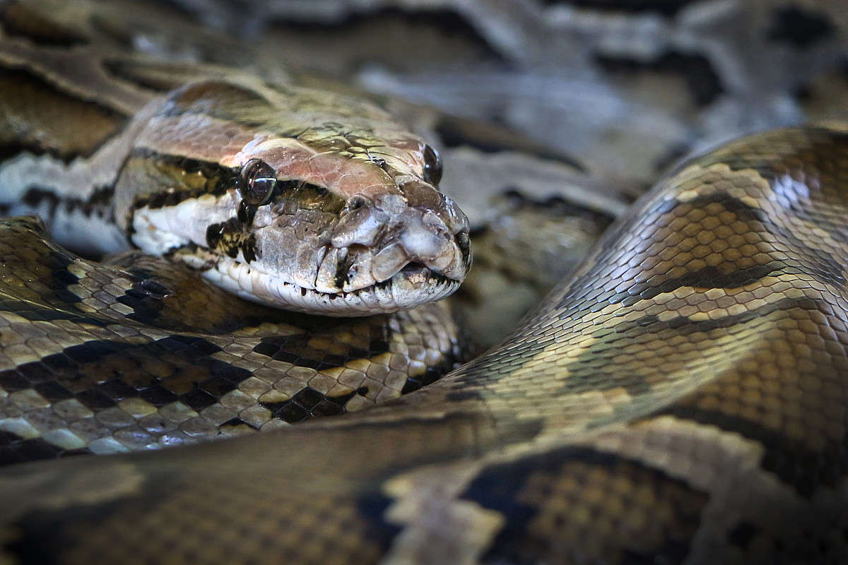 �������� ����� ������� ������� �� PhotoGeek.ru #�������� ���