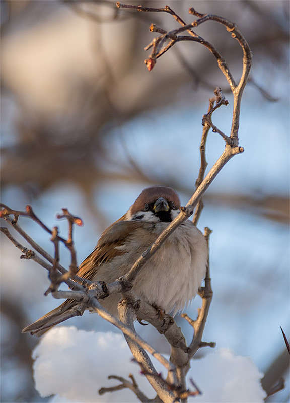 �������, ������... ����� ������� ������� �� PhotoGeek.ru #�������� ��� #������ ��� �������