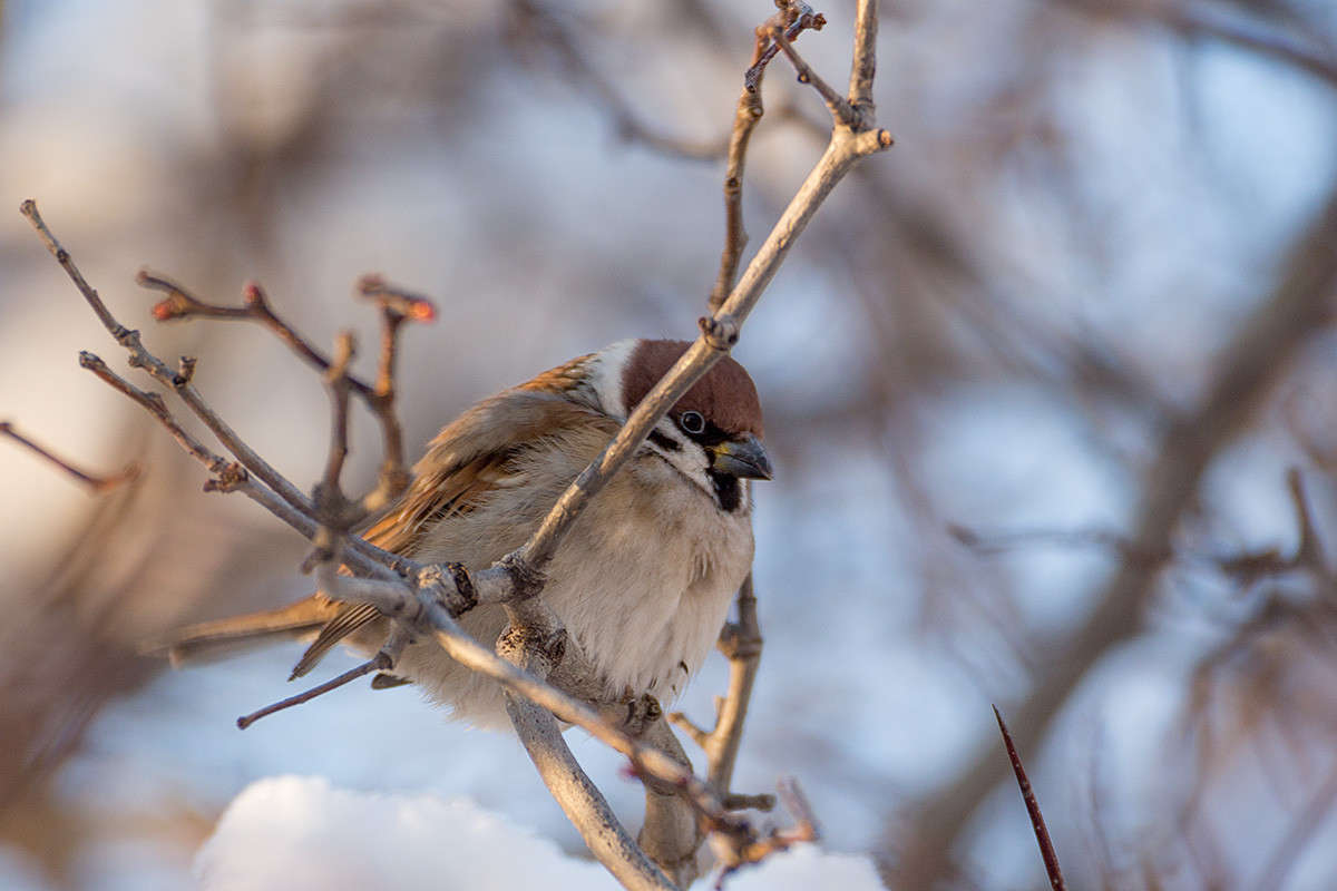 ������� ��, �����... ����� ������� ������� �� PhotoGeek.ru #�������� ��� #������ ��� �������