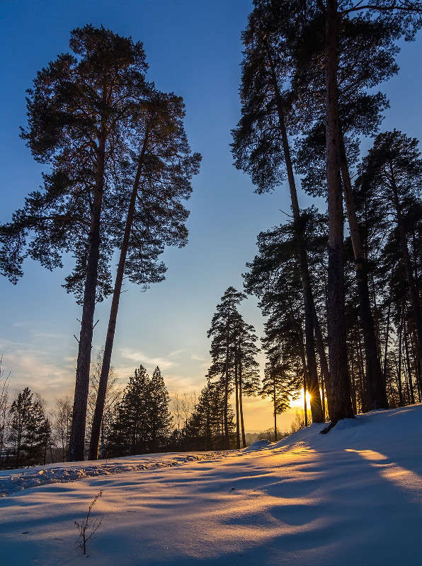 ����� ����� ����� ������� ������� �� PhotoGeek.ru #������ ��� �������