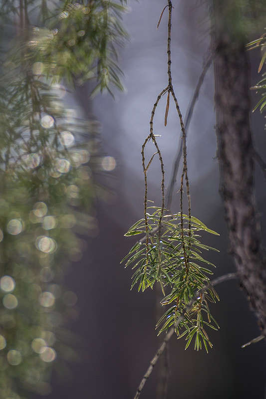 � �������� ���� ����� ������� ������� �� PhotoGeek.ru #������ ��� ������� #����� ��������������