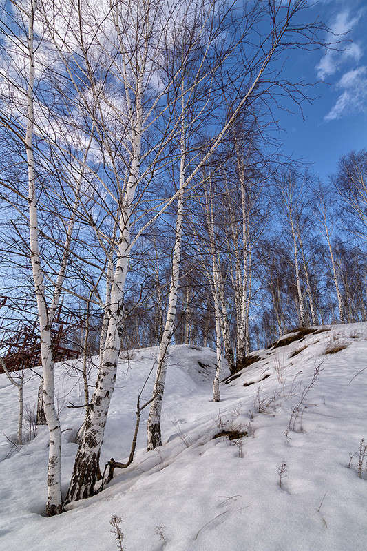 ���� ����� ������� ������� �� PhotoGeek.ru #������ ��� ������� #����� ��������������