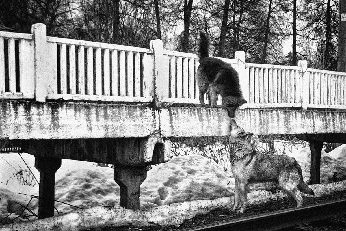 �� ���������� ����� ������� ������� �� PhotoGeek.ru #�������� ���